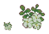 Katarazu シルクジャスミン 花言葉 純真な心 Picopiyo Pixelart ドット絵
