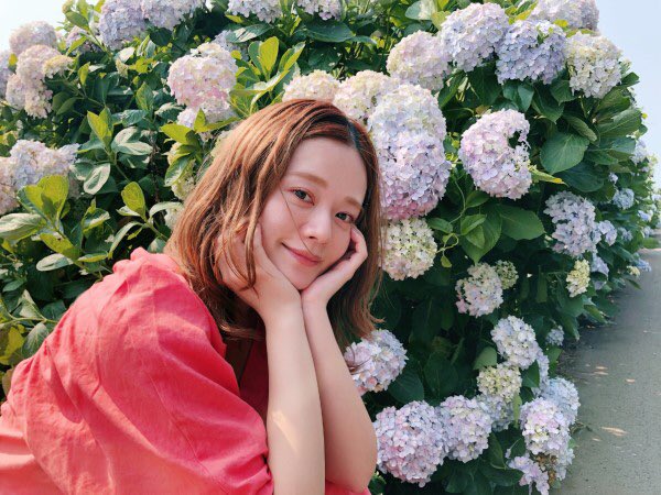 高山直子 Twitter Search