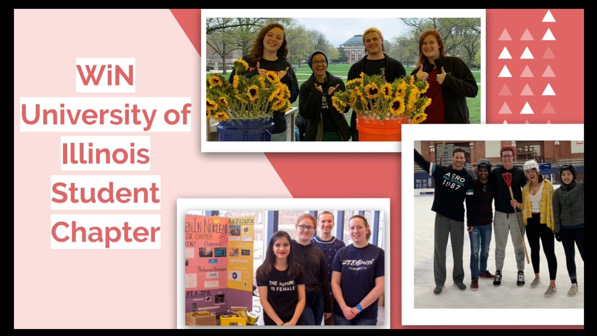 Women In Nuclear Illinois tweet media