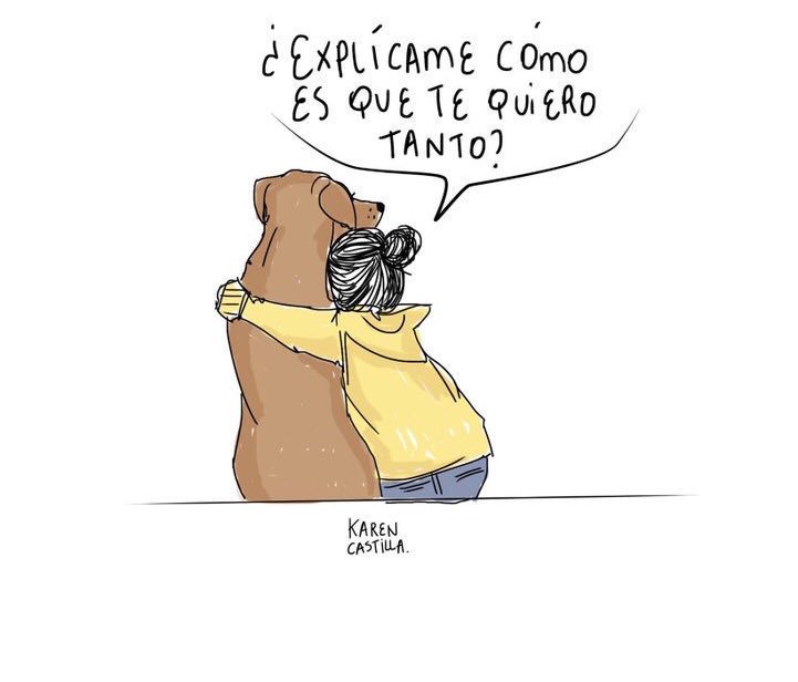 HalfABlueSky_'s tweet photo. El amor más incondicional del mundo es de los perritos. 💙 https://t.co/ozzeukIKhf