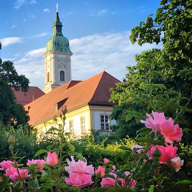 ChNiedermeier's tweet photo. Landratsamt #freising #ig_freising #freising_rathaus #rosen #rosenstadt #roses #cityofroses #bloom #inbloom #visitbavaria #visitfreising #naturelovers #naturliebe #nature #pink #rosa #ignaturlovers #buildings #church #lra #kloster #neustift #trees #onmyw… https://t.co/4NaeyRMXBx https://t.co/aZFOQJFR89