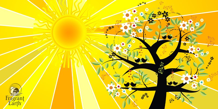 FragrantEarthO's tweet photo. Wishing everyone a wonderful happy solstice ☀️

#Litha #HappyLitha #SummerSolstice #Solstice #FragrantEarth https://t.co/K227MqUgst