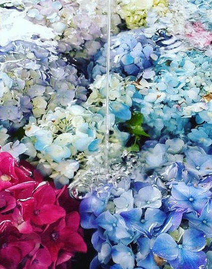 超絕夢幻和風 福岡春日神社 手水舎的紫陽花 Japhub 日本集合