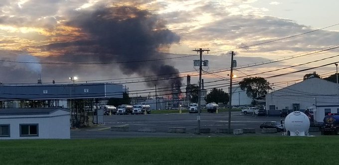 View image on Twitter