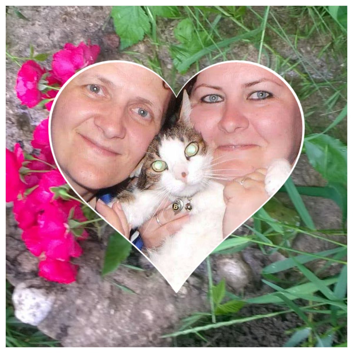 <a href="/Bobibobitza/">Mirabela</a> #missedBobbi #oneMonthWithoutBobbi 🐾