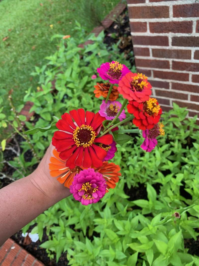 LeizeGaillard's tweet photo. June 2019  | Welcome Summer - Newsletter is here! #Charlestonrealestate https://t.co/YaCtpw85e9 https://t.co/46vbLAGgmz