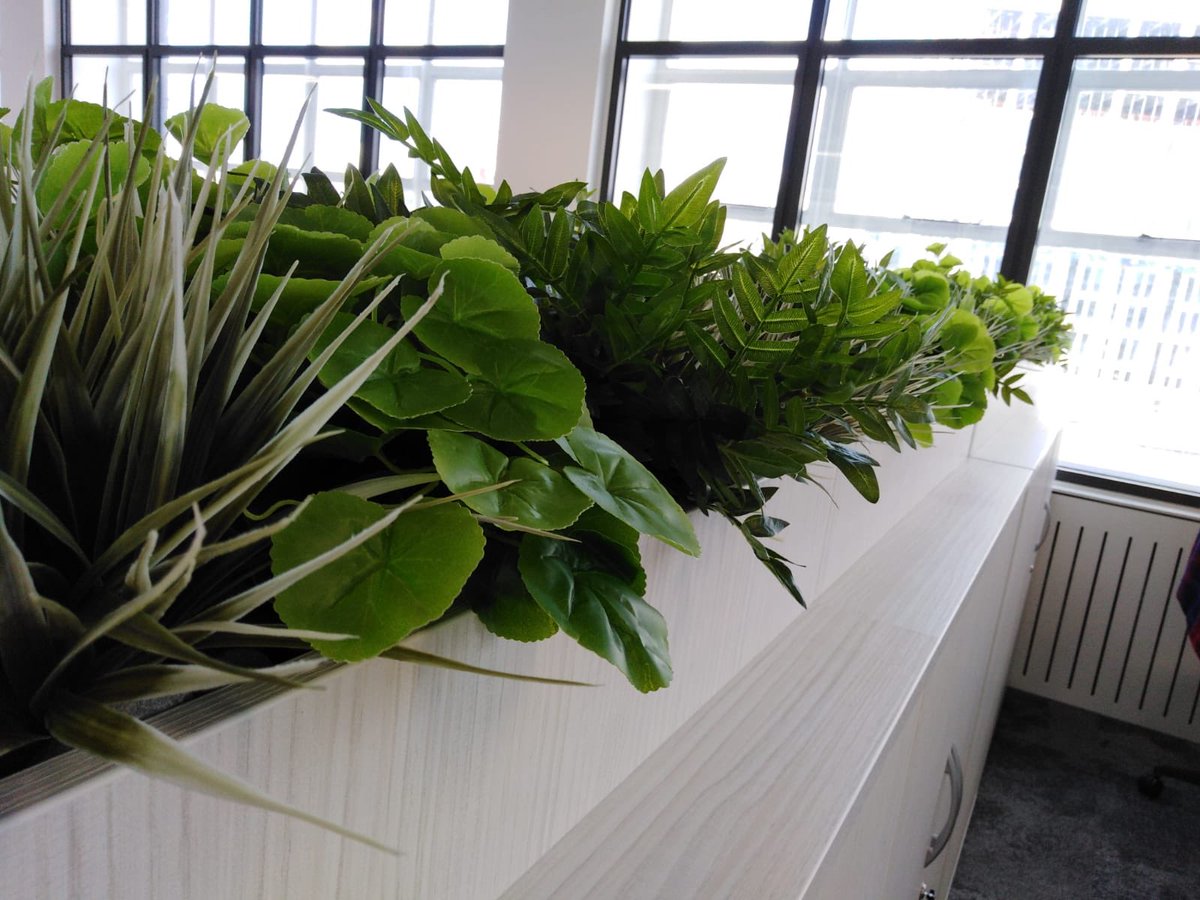 Another Inleaf installation just completed - this time artificial office plants in storage-top containers. We think it looks great. 🍃🍃🍃👍

#biophilia #biophilicdesign #installation #artificial #officedesign #officeplants  #interiordesign #design
