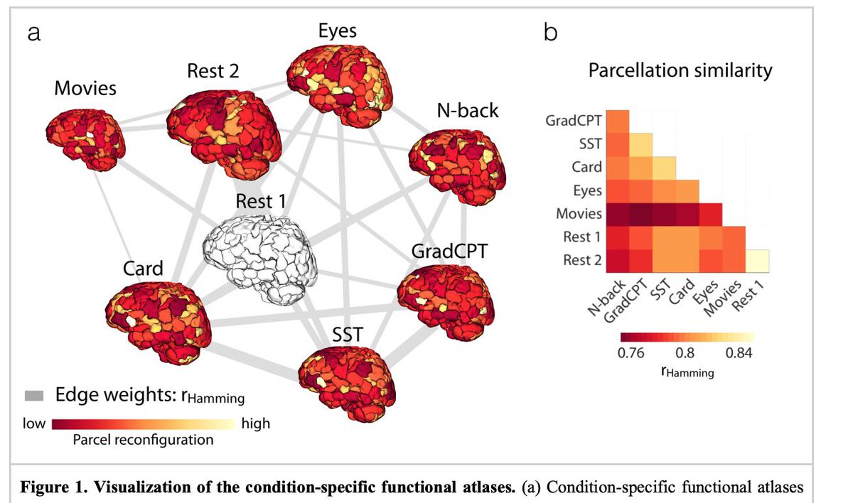 @parkvillegeek tweet media
