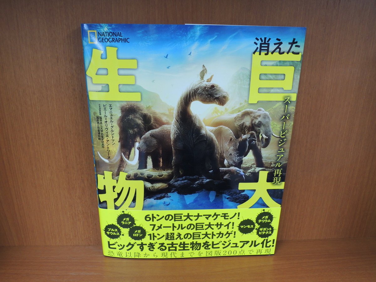 Haischlib 巨大生物 Ar Twitter