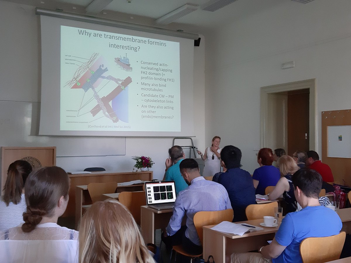 Day 2 #EPCC2019 starts with actin nucleator  Formin
