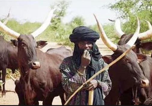 walterzenia2016's tweet photo. We‘ll resist Fulani vigilantes in Igboland - Ohanaeze tells Miyetti Allah
https://t.co/0TJ5yiOEHs https://t.co/LLr5wqG6dm