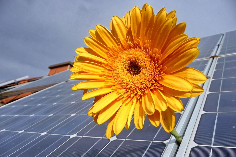 Solar Guide tweet media