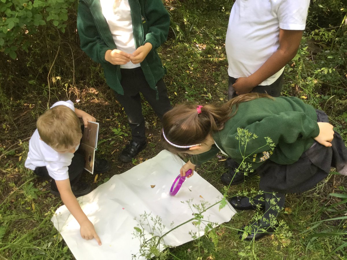 StandensBarnPS's tweet image. Giraffes are shaking the trees... what creatures will we find? @RSPB_Learning #RSPBwildchallenge