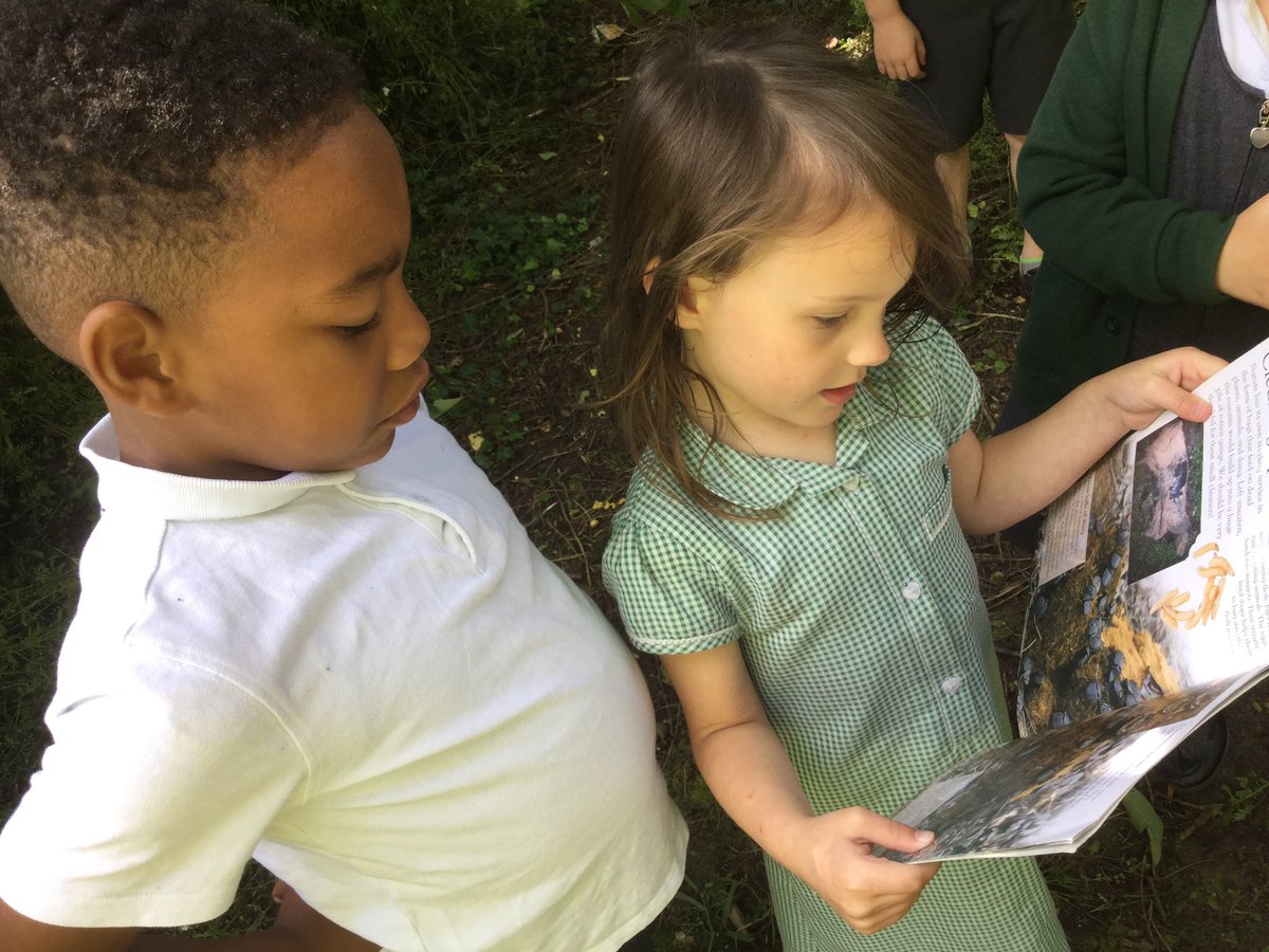 StandensBarnPS's tweet image. Giraffes are shaking the trees... what creatures will we find? @RSPB_Learning #RSPBwildchallenge