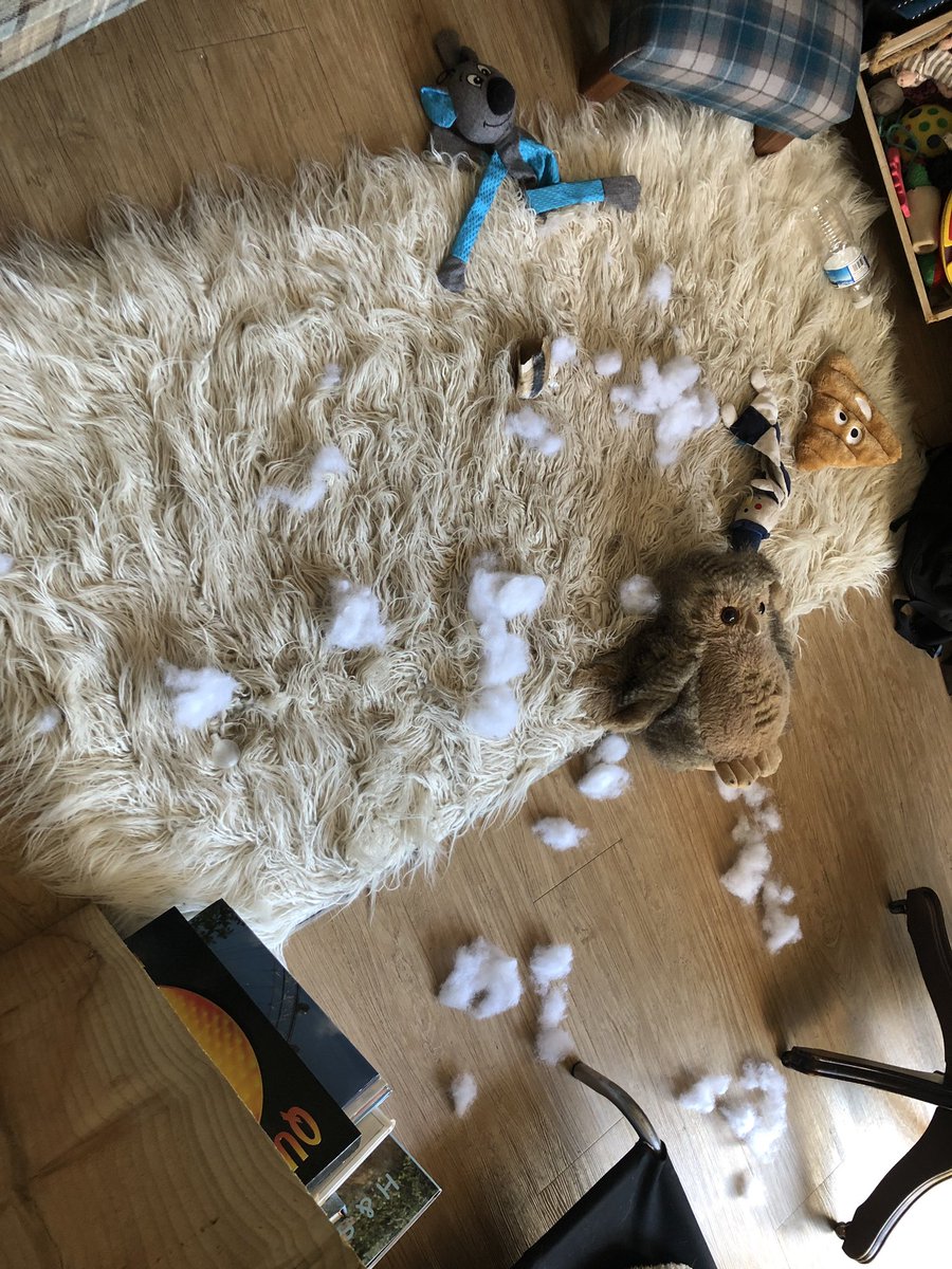 alfit_d's tweet image. Something seems to have exploded 😱😱 #wasntus @toddy_bt @MrSebBT @LynnieYankee @Tobi_LeRone @Mollycutedog01 @HeidiBT1