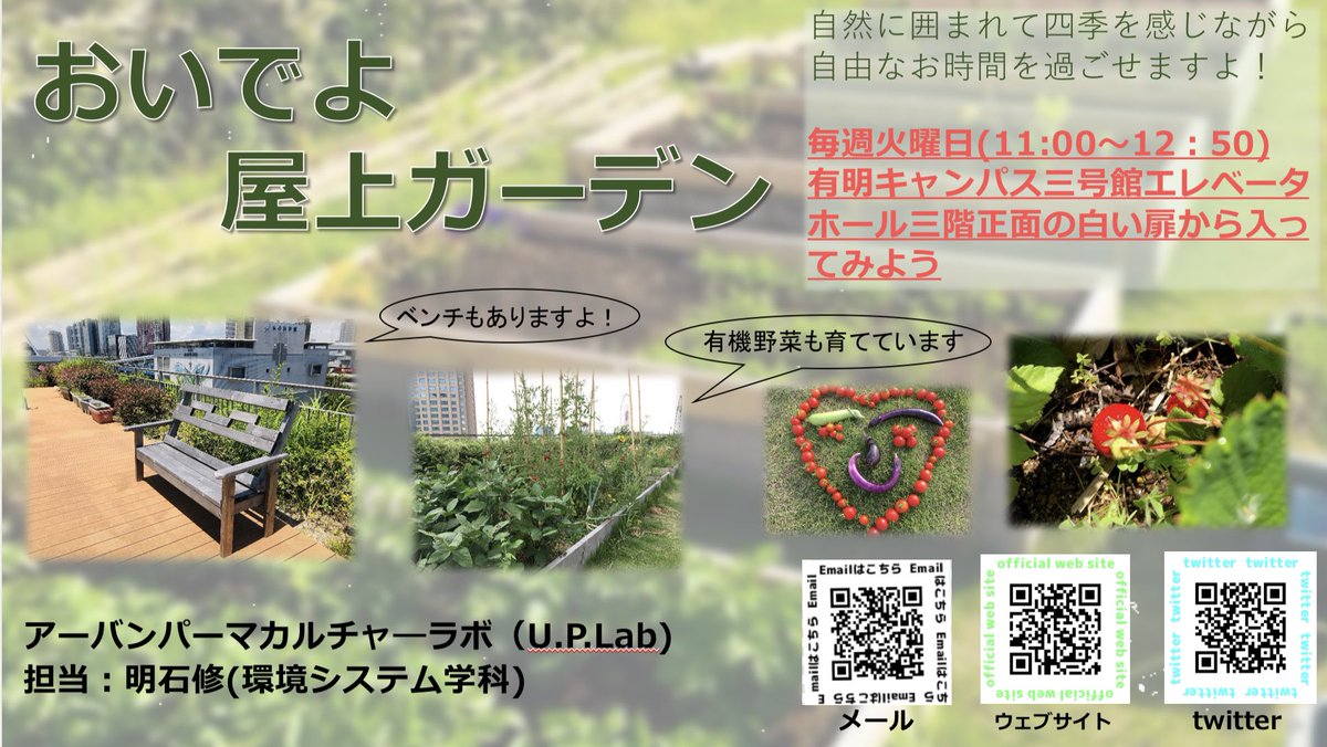 自然を感じたい皆さん。ぜひ武蔵野大学有明キャンパス3号館屋上にお越しください。毎週火曜日の11：00〜空いています！
また、7月中旬から8月にかけて、イベントなども行う予定です。詳しくは、火曜日のオープンワークデーにお越しください！