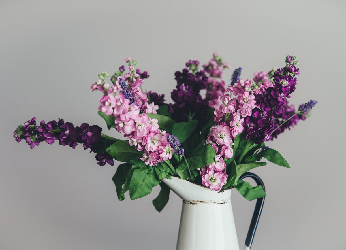 davisdesign1's tweet photo. "You are built not to shrink down to less but to blossom into more." ~ Oprah Winfrey π
Have a lovely weekend fam β¨
πΈ @unsplash
#DavisDesign #GraphicDesign https://t.co/bW4NR2XsV9