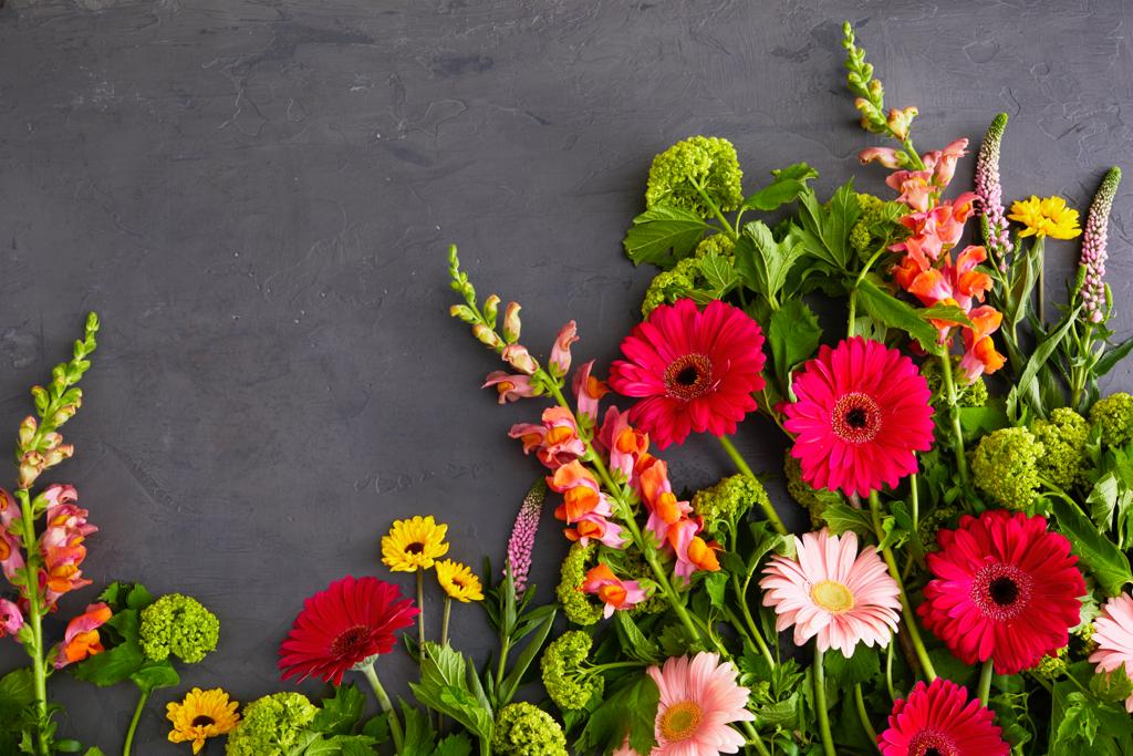 Summer is here!  Come to Le Pain Quotidien to celebrate this season with us.  Our terraces are open, our gardens are flourishing and we will have some delicious summer surprises coming soon.
#LPQsummer #PlantLove
