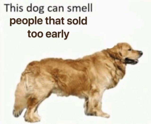 ugrozeni_zmaj's tweet image. kriv sam 😇