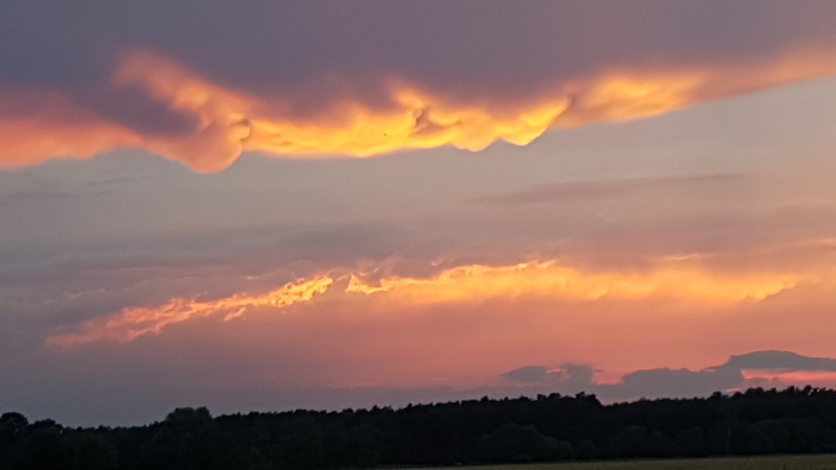 Abendstimmung im Unterspreewald