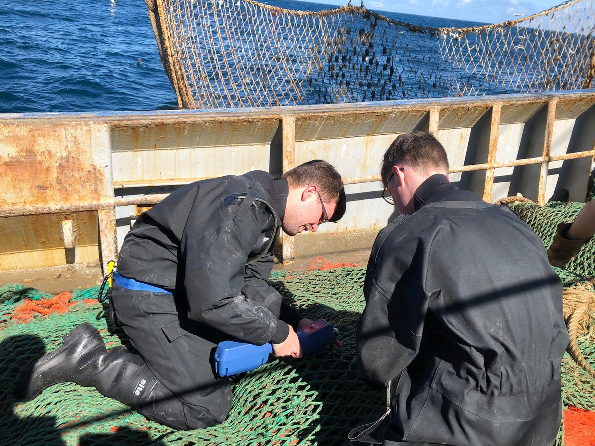HMS_Forth's tweet photo. This week we officially joined the ‘club’ as we conducted our first Marine Enforcement boardings around the 🇬🇧! #SustainableFishery #OldestRNSquadron #FightingB2s #FirstofClass @The_MMO @YourFishingNews @DefraGovUK https://t.co/3blptONHfB