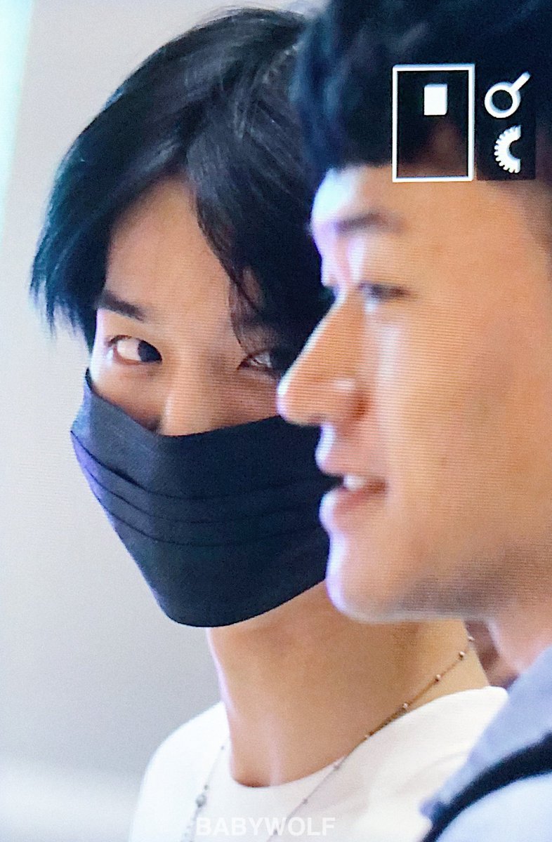 BabyWolf🐺베이비울프 tweet media