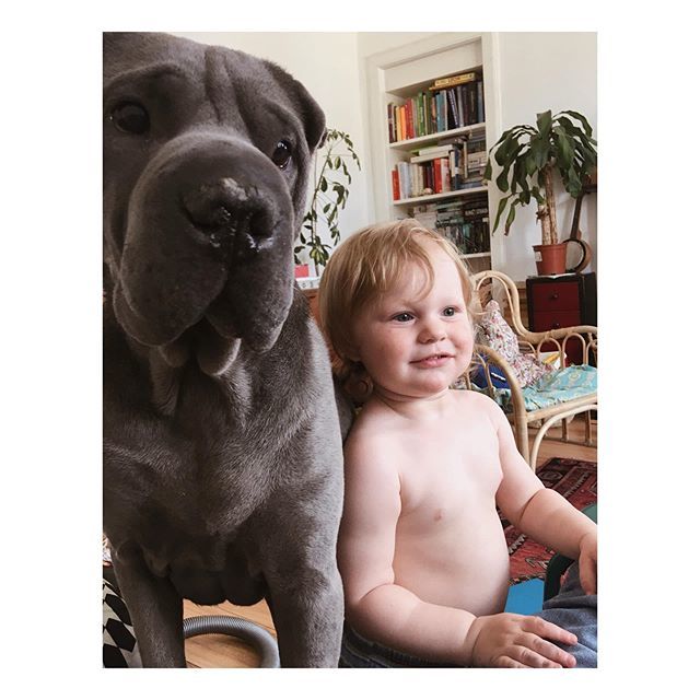 everythingakin's tweet image. i was all like ugh what even is instagram what are we all doing then i found this photo n was like oh aye 💘 bit.ly/2Xs3XmS