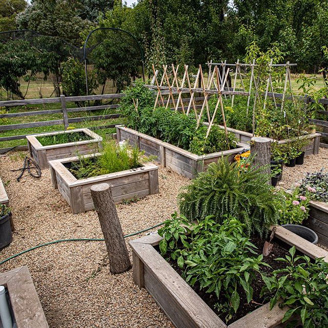 ModBOX_co's tweet image. This productive kitchen garden has been the joy and pride of Annie and John since 2014. They replaced the existing garden beds made with treated pine (☠️☠️☠️) with the untreated ModBOX Callitris Cypress 👍👍👍. And in 2016 they extended the garden doubl… bit.ly/2ZCPyS9