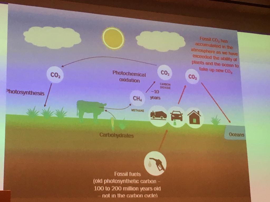 Prof Mitloehner @GHGGuruexplains how to “never compare cows to cars!”
Carbon that goes into the ruminants system is cyclical. It is not adding additional new carbon to the atmosphere so no adding to #warming. It does not go to #oceans like carbon from fossils fuels  #yes2cattle