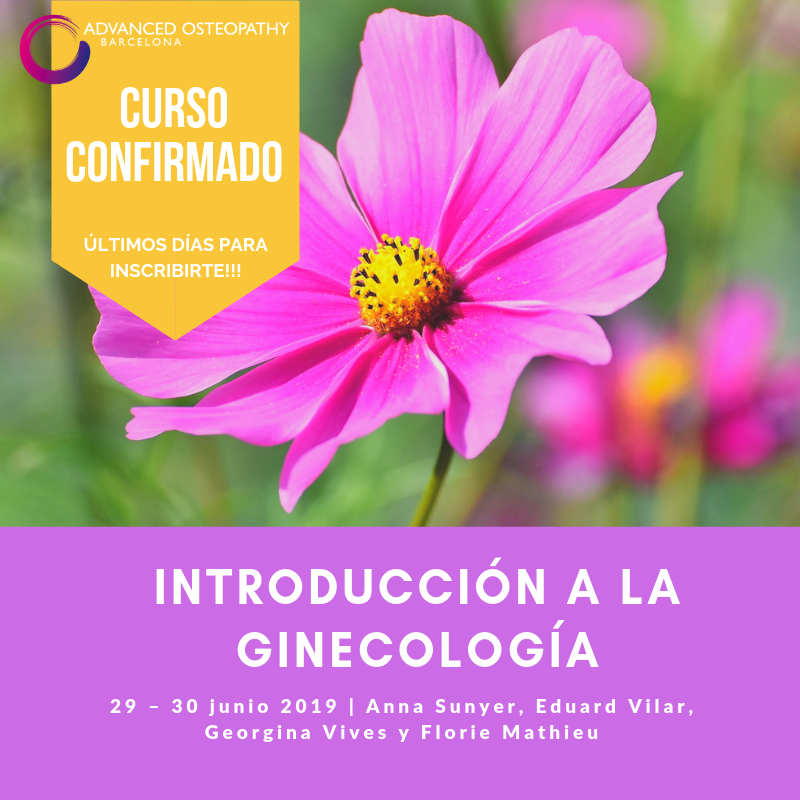AOsteopathyBCN's tweet photo. Introducción a la Ginecología 🔝🔝🔝
 ¡Últimos días para inscribirte! Arrancamos el sábado que viene. https://t.co/xym5FZ4G7k
 #osteopatía #osteopathy #ginecologíaosteopática #posgradososteopatia #advancedosteopathy https://t.co/fw1RkStcam