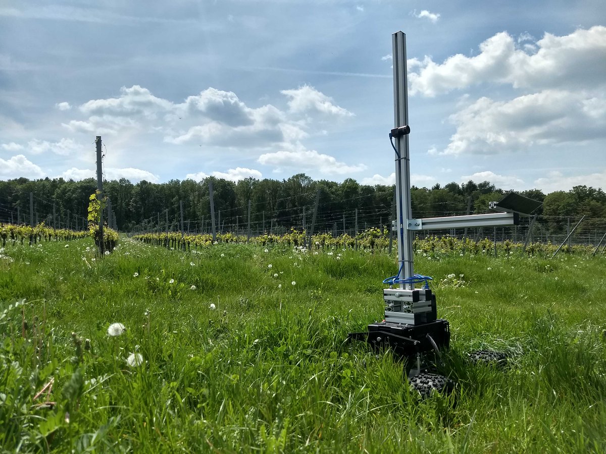 Today is the first day of summer!

For many of us summer means relaxing and enjoying the sun, but this is not  the case for OUVA! This is the beginning of a busy season in vineyards for our little rover.
