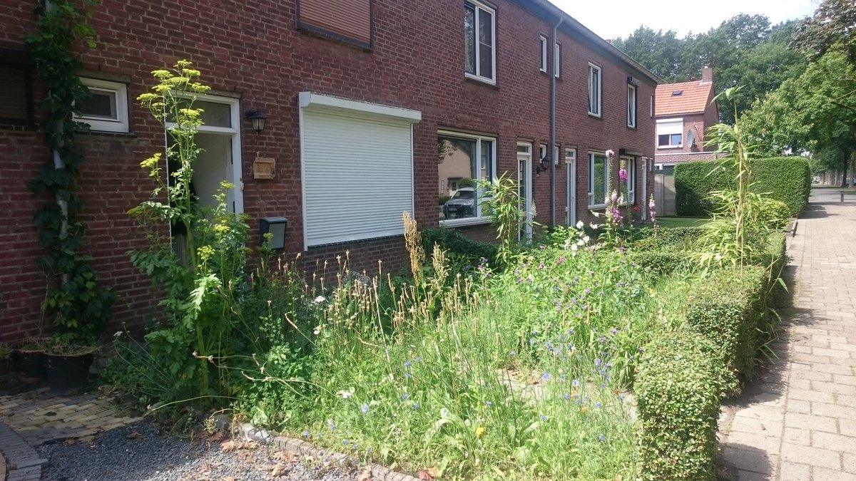 nicoos66's tweet photo. @Geert_gabriels En zo is het maar net https://t.co/boVyHfgg4i