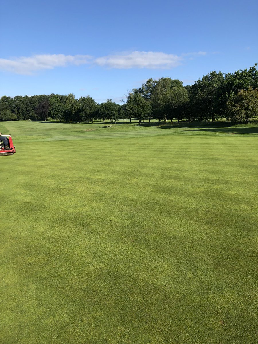 Tomhopewell1's tweet image. Course starting to take shape really nicely for the regional open qualifying, greens looking pure after and handmow and roll this morning @TheOpen #OpenQualifying #courseprep