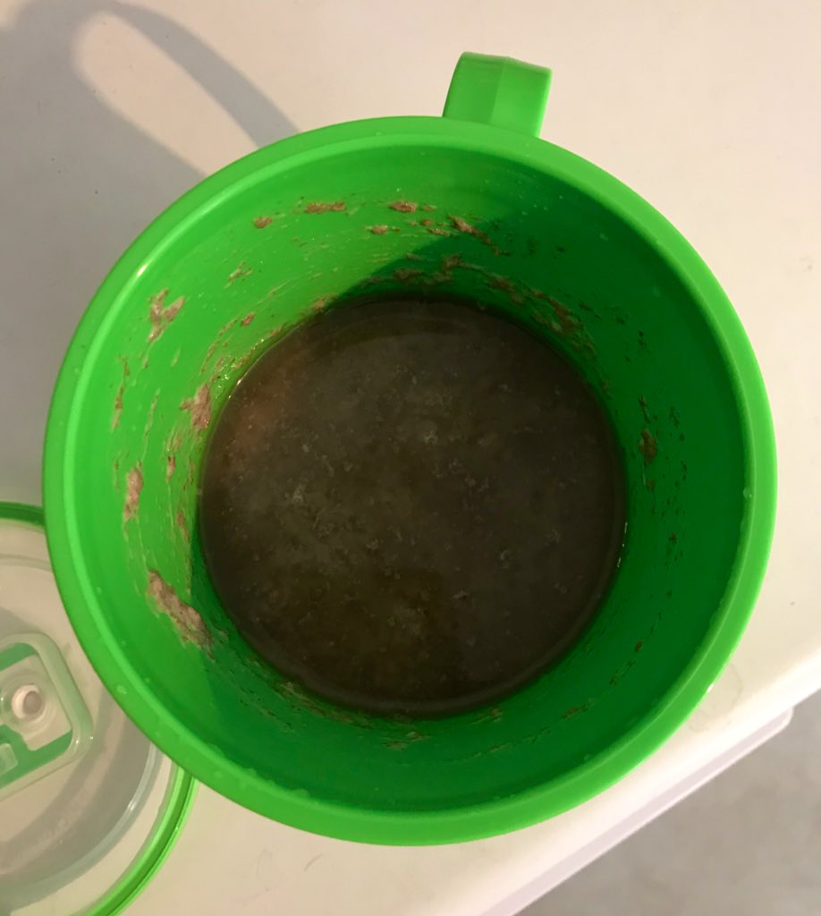 This morning, I was greeted by a stinky, brown-black liquid floating on top of the culture. This thrilled me as it means we successfully picked up some microbes. It obviously doesn’t take a lot to thrill me.