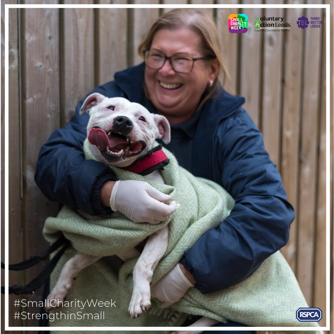 VolActionLeeds's tweet image. A big part of what @RSPCALeedsWakey do is to go out to schools &amp;amp; educate students about the careers that are available when working with animals. Read more in our #SmallCharityWeek blog by @3rdsectorleeds here: bit.ly/SmallCharities… #feelgoodfriday #strengthinsmall #dog