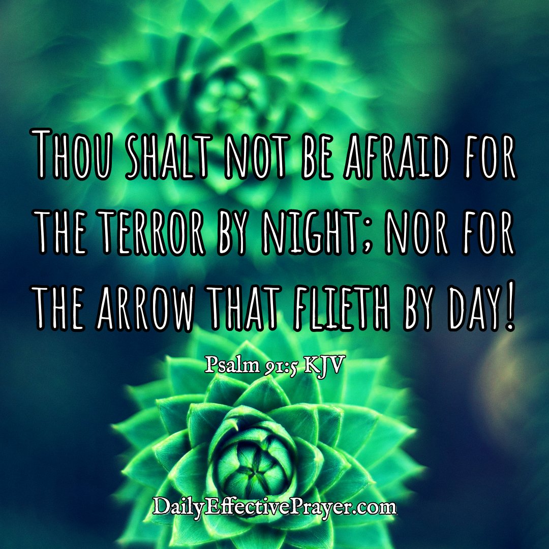 DailyEffectiveP's tweet image. Refuse to fear! Greater is He who is in you! Say to fear, “No, I resist you in Jesus Name. Get out of here now. I believe the Word of God and resist you.” #psalm91 #ibelievegod #refusetofear