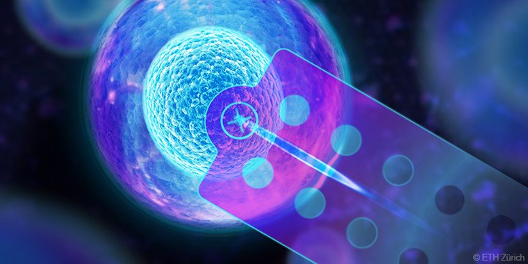 agencia_sinc's tweet photo. Ya está en marcha el Atlas Celular Humano. Según los expertos, cambiará las reglas del juego como lo hizo el Proyecto Genoma. La técnica que  hay detrás se llama 'single cell' y fue el avance científico de 2018 para @sciencemagazine https://t.co/BtWxA23SQ8 Por @jesusmendezzz https://t.co/2ieLGl3if2