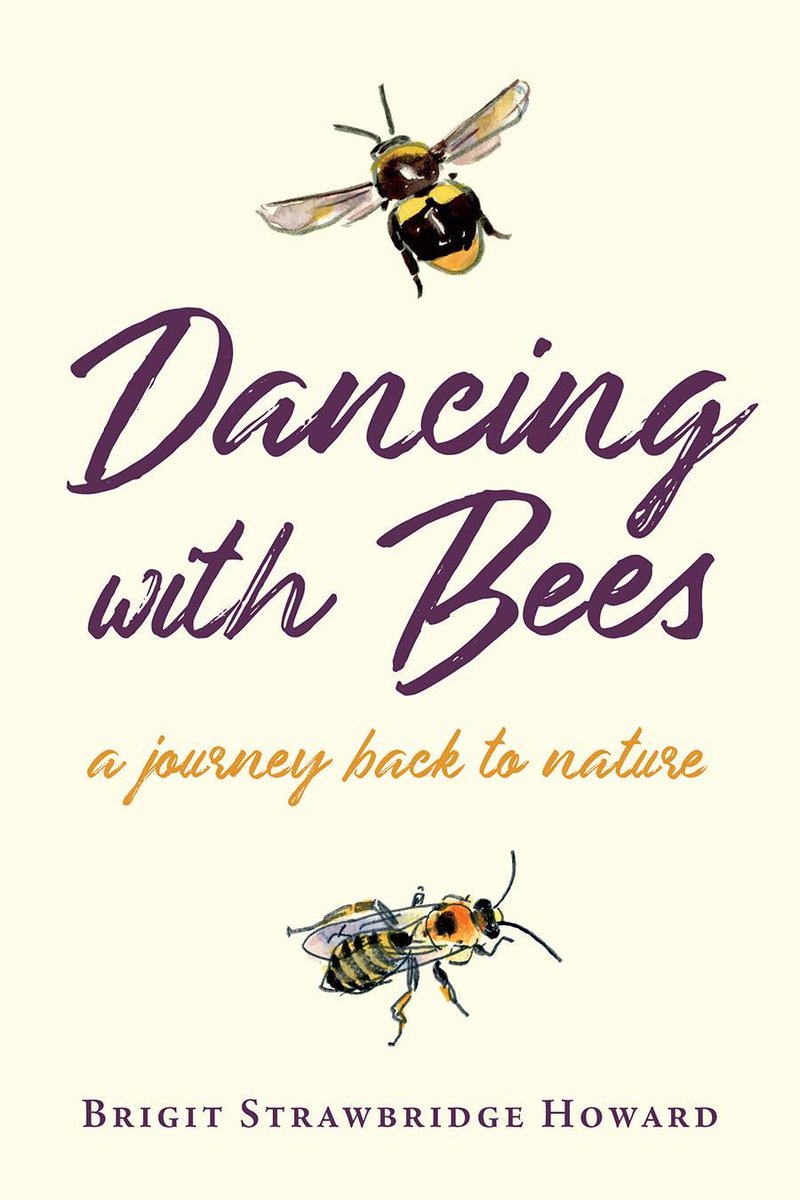 Brigit Strawbridge tweet media