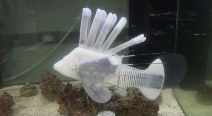#NewsduJour Ce poisson robotique ultra-réaliste contient même du sang synthétique et peut nager jusqu'a 36 heures de suite via lesclesdedemain.lemonde.fr/technologie/ce… #robotique #technologie
