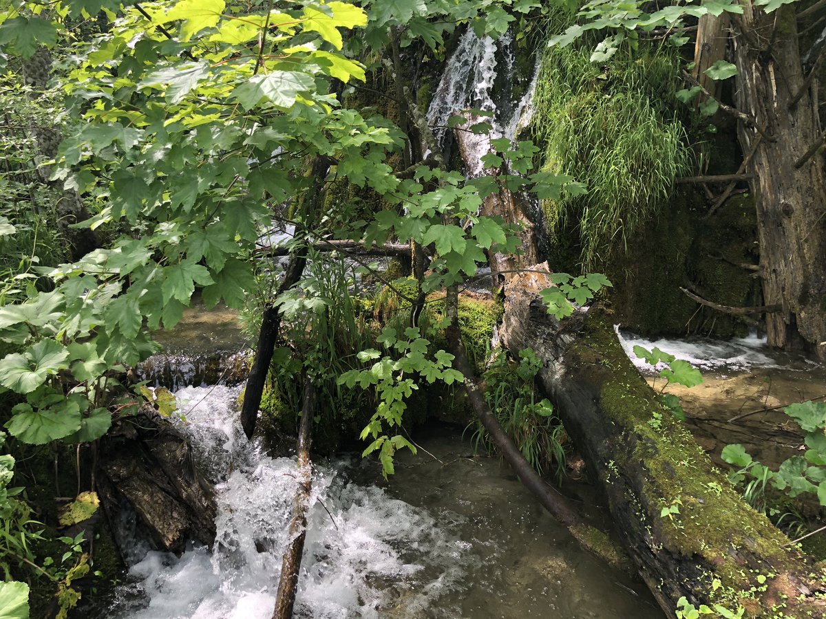 theFieni's tweet photo. Plitvicka jezera, Croatia. Route E. #croatia #plitvicka #jezera https://t.co/fYj9810kc1