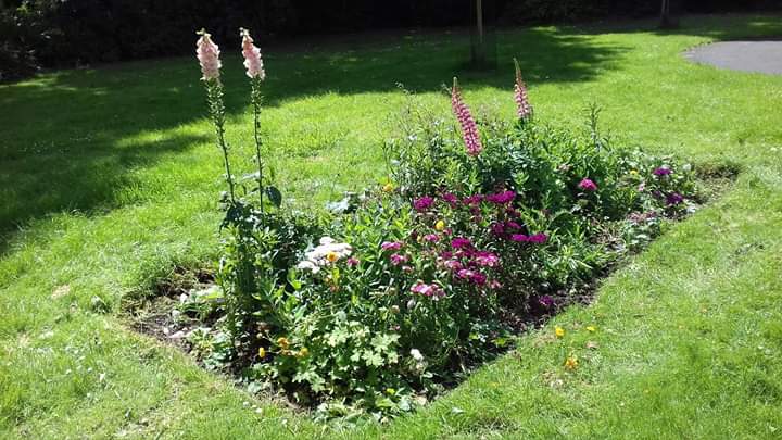 Did a little tidying of the flower beds today in readiness for the RHS It's Your Neighbourhood Assessments on 9th and 10th July.  If you'd like to help please send us a message there's lots to do to get the park spick and span before then.