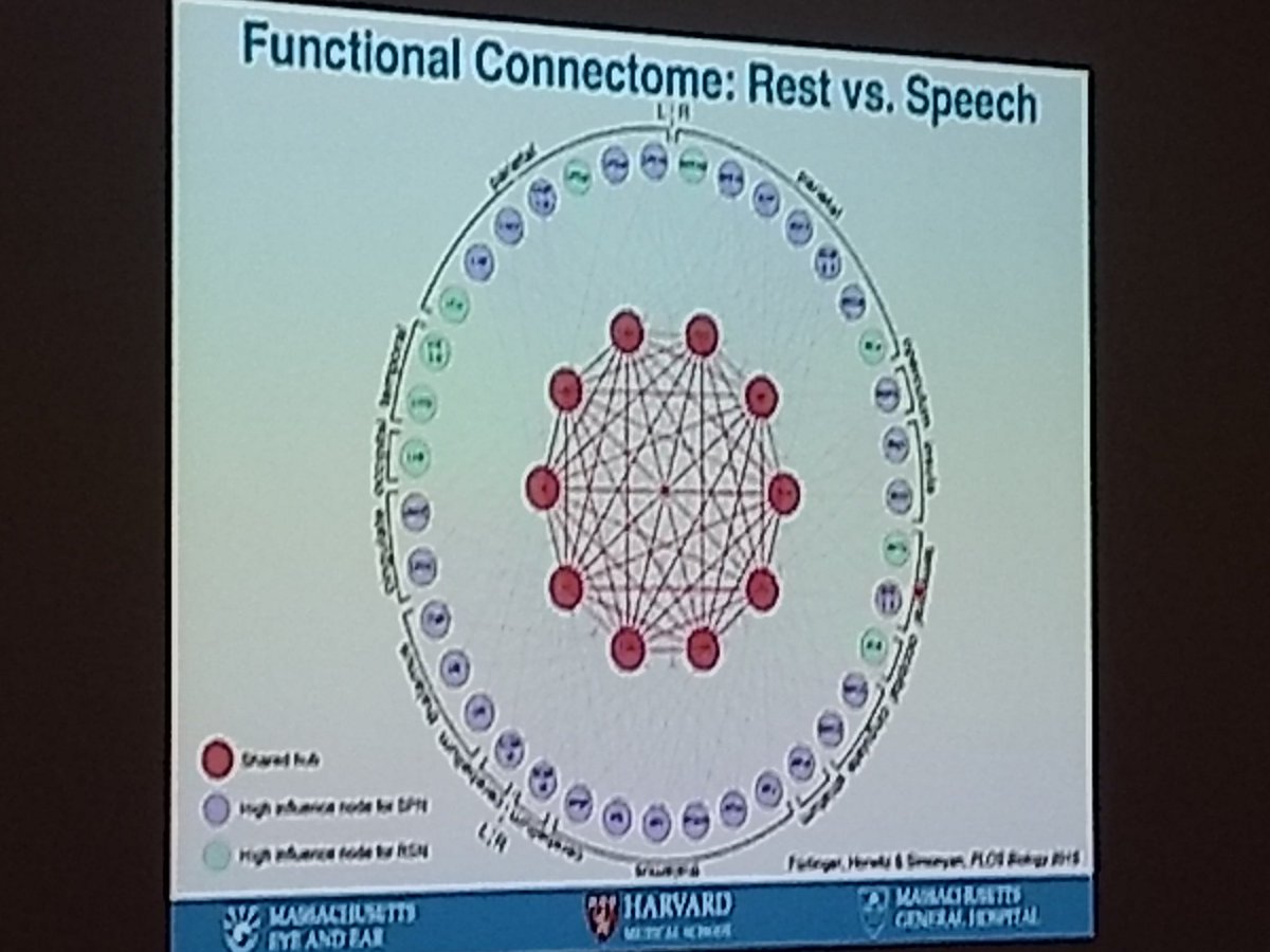 Hasinirw's tweet photo. Simonyan: A specialized network of densely connected sensorimotor regions, was found to form a common processing core for voice production. More information about Prof. Simonyan's talk @ link : https://t.co/sF6tW25CGe #2019BSMCS https://t.co/BXhmHeAdmj
