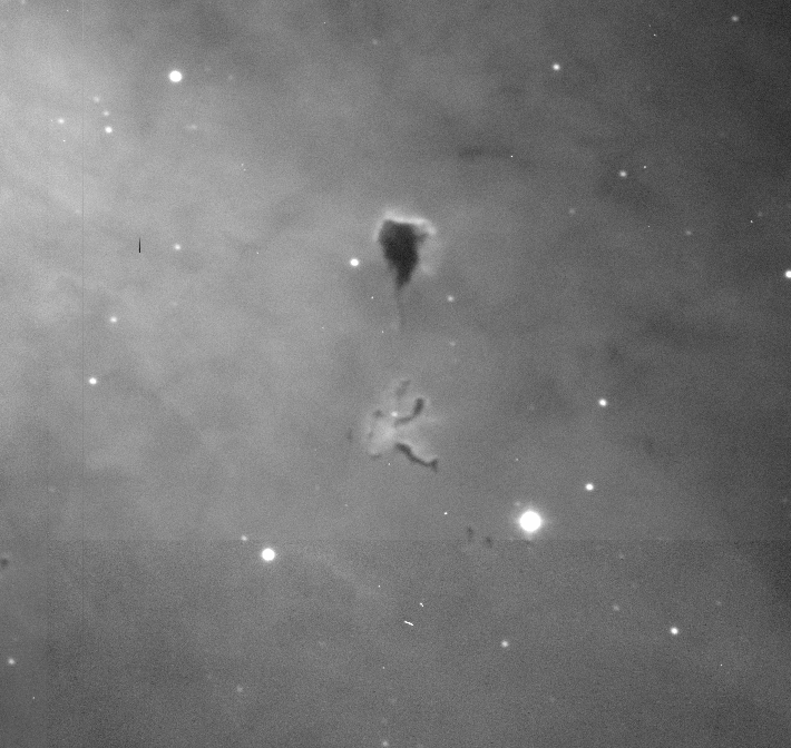 SARA_Obs's tweet photo. Twilight was coming and the H-alpha filter was in anyway. That's my story and I'm sticking to it. I'd never noticed the "Running Gumby with thought balloon" dust cloud before. (JKT, La Palma) https://t.co/mRSg1rPQHe