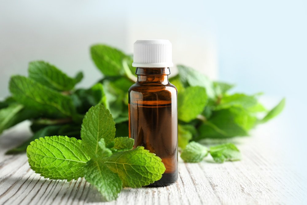 Sanitized_AG's tweet photo. NATURAL ODOR MANAGEMENT WITH PEPPERMINT
The natural antibacterial effect of peppermint forms the basis for Sanitized® Mintactiv. Read more in the blog.
➡️ https://t.co/Qs2X001m18
#sanitized #mintactiv #thepowerofnature #natural #odorfree #peppermint https://t.co/qukeBwbJbK