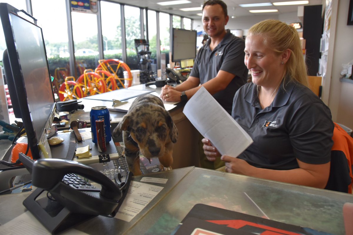 We had a visitor in our parts department today.
#DitchWitch #DitchWitchParts #northcarolina #charlottenc #dogs #dogsatwork #dogfriendly #petsatwork #puppy #puppylove #PartsDepartment #dogsattheoffice #outdoorequipment #catahoula #catahouladog #catahoulaleoparddog