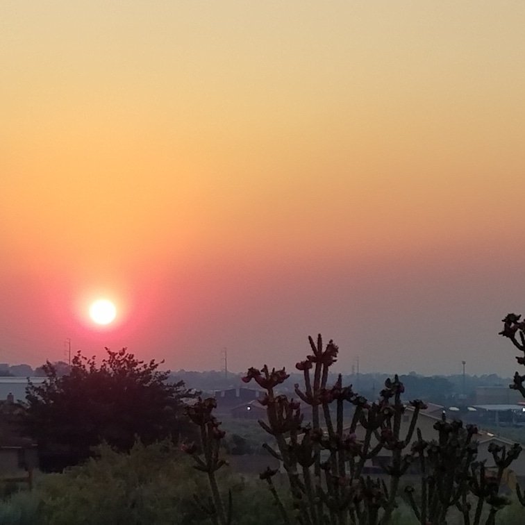 PermedtoNatural's tweet image. Mornin&apos;
#pinksun #pinksunrise #sunrise #riorancho #NewMexico #ilovethesouthwest