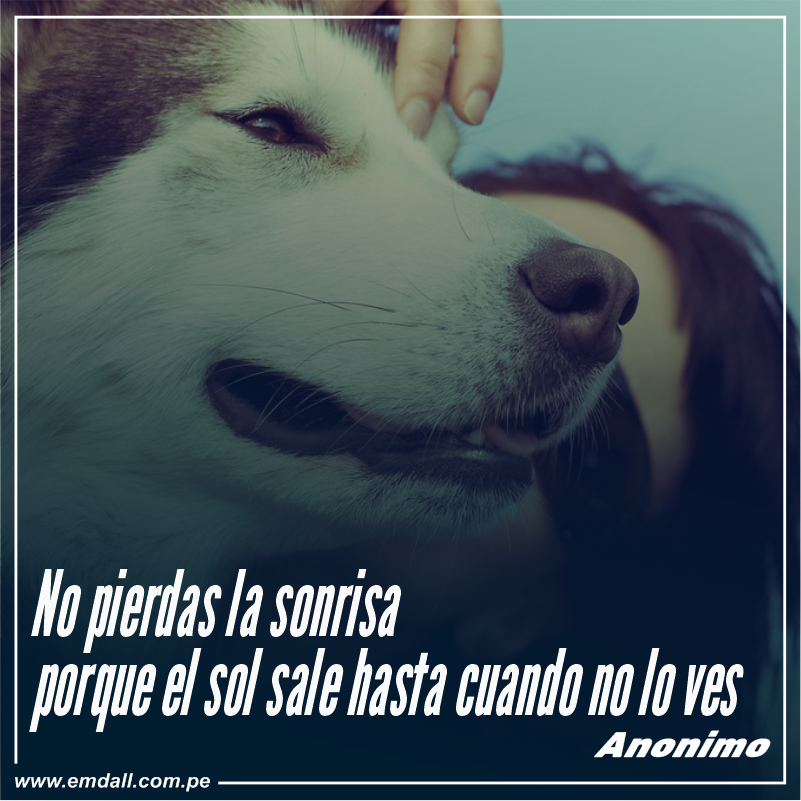 CorporacinEmda1's tweet photo. De parte de todos los integrantes de la Corporación Emdall, queremos desearle a todos un #FelizViernes.
¡En Emdall logramos el éxito siguiendo la excelencia!
#findesemana #Viernres #EMDALL #PANASONIC #love #Amor #Felicidad #AllNightOutNow #asíveréelpartido https://t.co/VsobavazFg