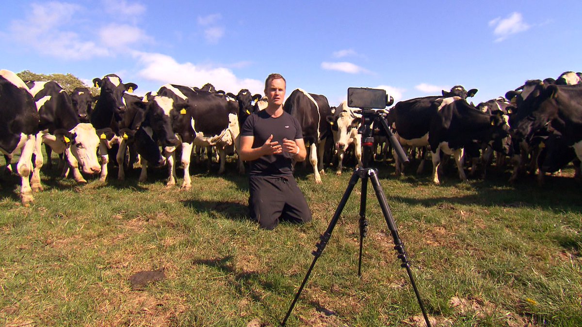 RTENationwide's tweet photo. The Arklow based Vet who offers free farming advice through his blogs - Meet Tommy the Vet @tommythevet on #RTENationwide tonight, Friday 21st June @RTEOne 7pm &amp; RTE+1 8pm @rte @Wicklow_News @wicklowcoco @WicklowHour @LEOWicklow @WicklowPeople @VeterinaryHQ @VetGeraghty Pls RT https://t.co/6Bprqxsab7