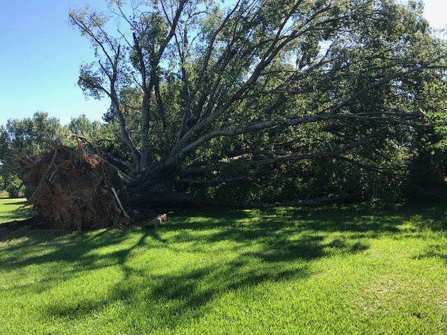CodyAlcorn's tweet image. We are back in the southern part of the Upstate checking out the damage from Thursday’s storms. This is along Callison Hwy in #GreenwoodCounty. @NWSGSP  #severweather #sctweets