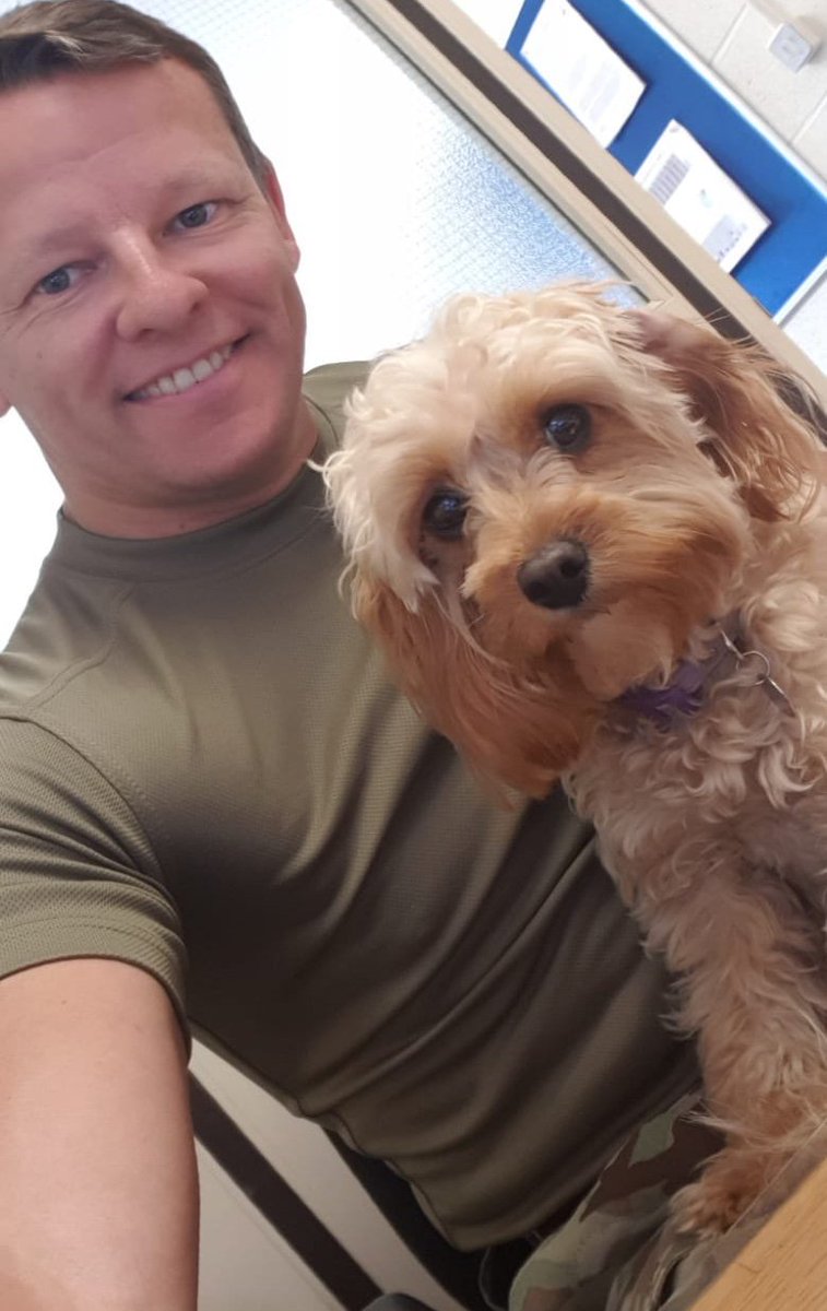 British Army 🇬🇧 tweet media